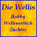 Die Wellis