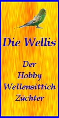 Die Wellis